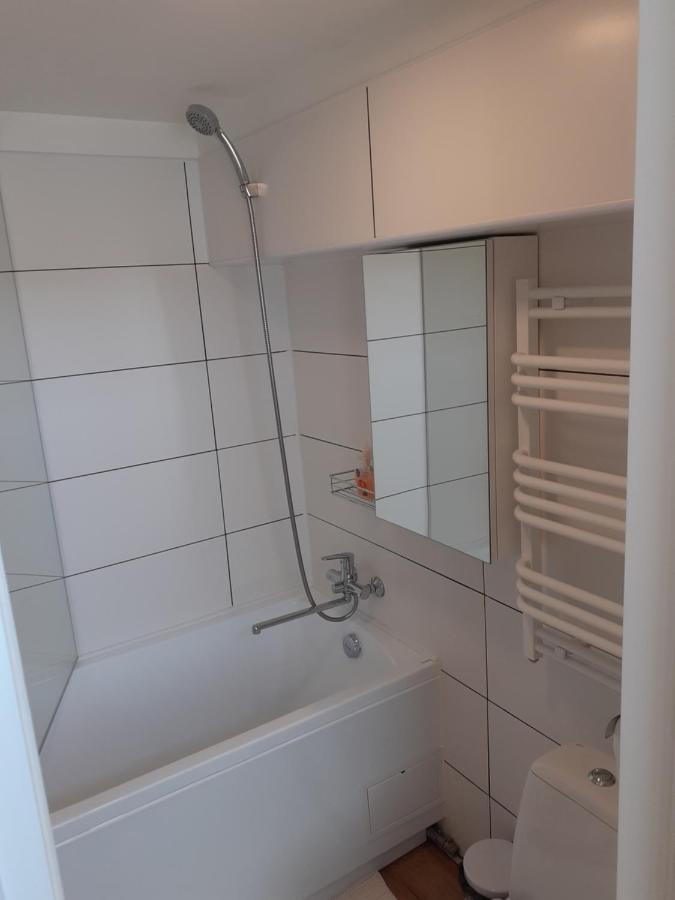 Lovely 1-Bedroom Apartment In Kaunas Old Town Luaran gambar